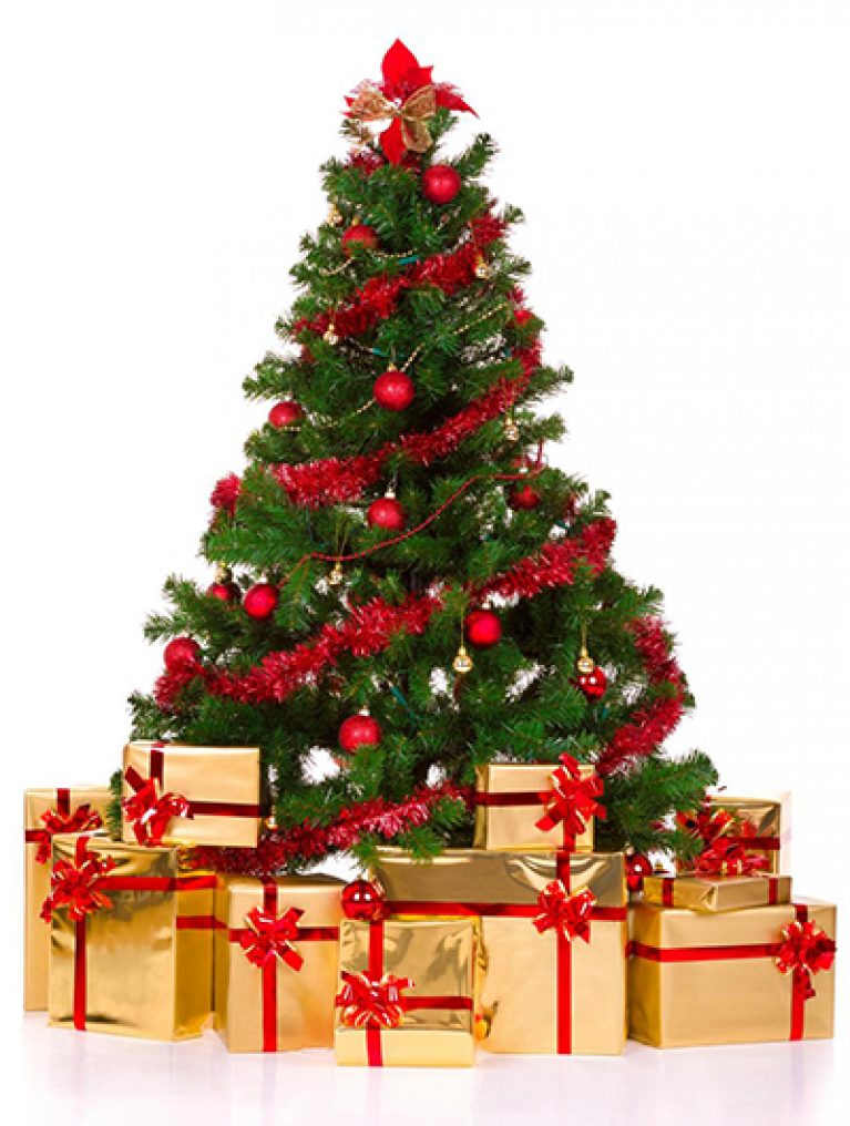 awesome picture of christmas tree devotional fabulous awesome picture of christmas tree devotional fabulous
