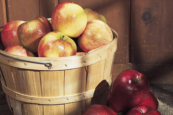 wooden basket filled with red and yellow apples