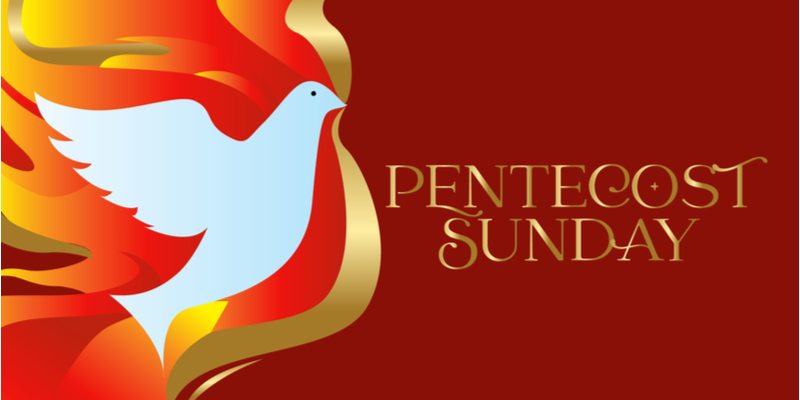 Graphic of a white dove surrounded by flame to represent the Holy Spirit of Pentecost.
