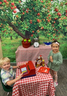 Apple Orchard