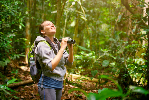A hiker holds binoculars and looks up while surrounded by trees and brush.